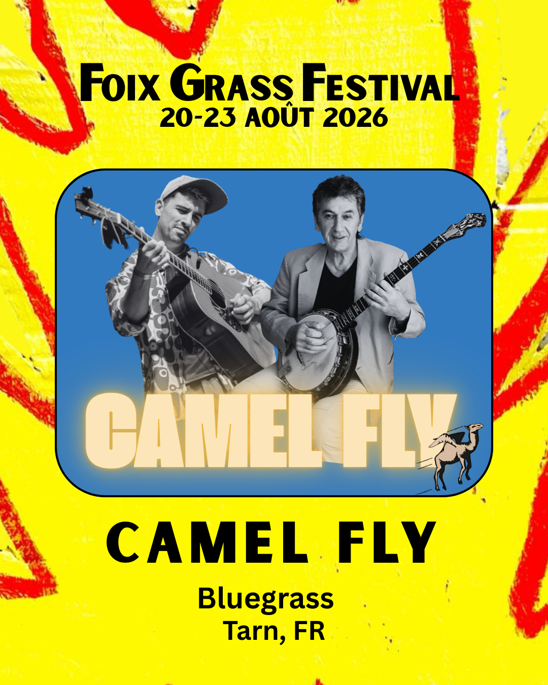 Camel Fly